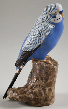 Birds Budgerigar-Blue - No Box
