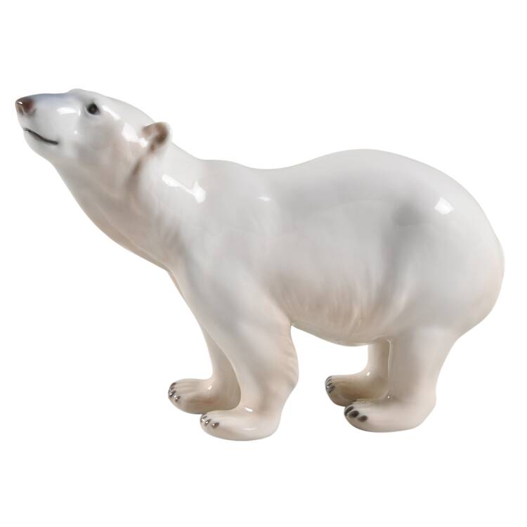 Animals-Wildlife Polar Bear Sniffing - No Box