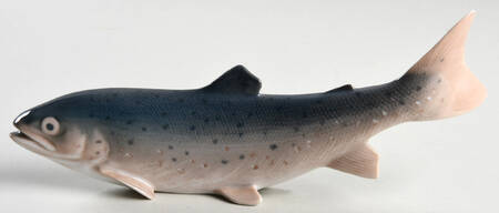 Animals-Aquatic Rainbow Trout - No Box