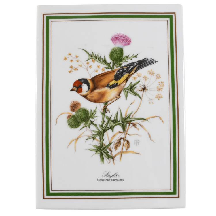 European Singing Birds European Goldfinch - With Box