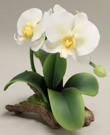 Sadek Flower Figurines White Butterfly Orchid - Boxed