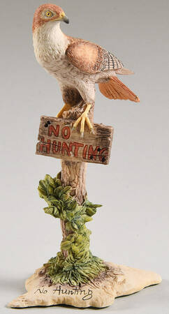 R.F.D. America No Hunting - Boxed