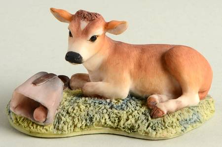 R.F.D. America Baby Blossom - Boxed