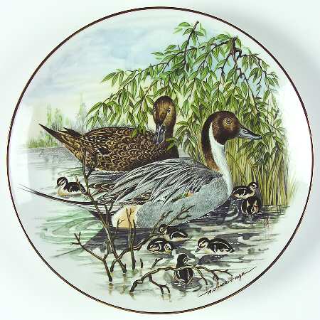 Game Birds of The South Pintail Duck - Boxed