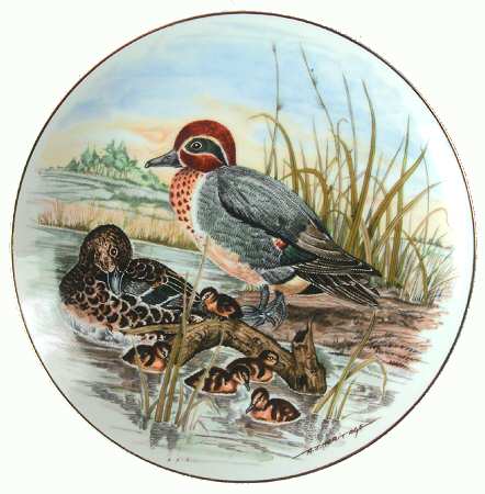Game Birds of The South Green-Winged Teal - Boxed
