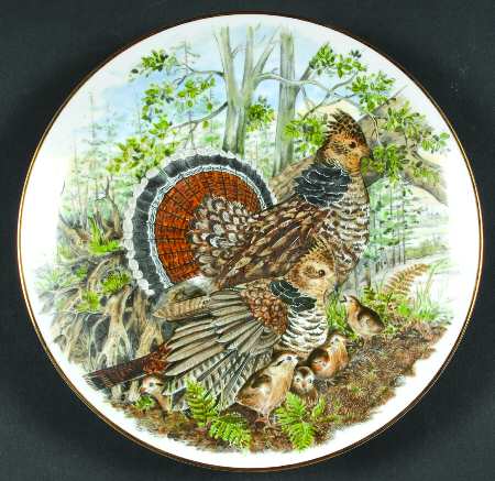 Game Birds of The South Ruffed Grouse - Boxed