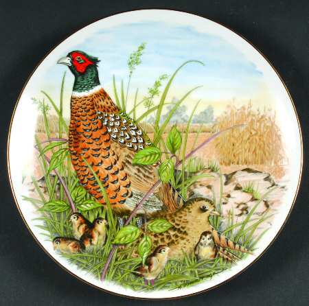 Game Birds of The South Ring-Necked Pheasant - No Box