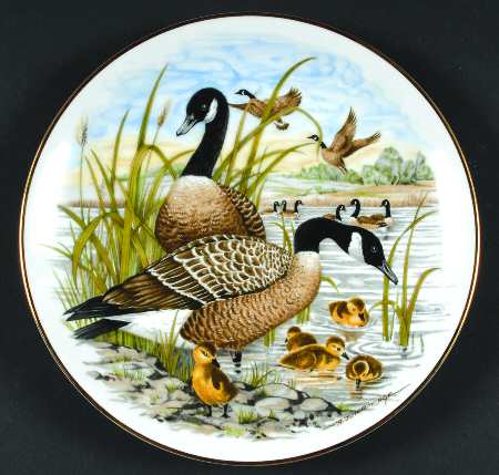 Game Birds of The South Canada Goose - No Box