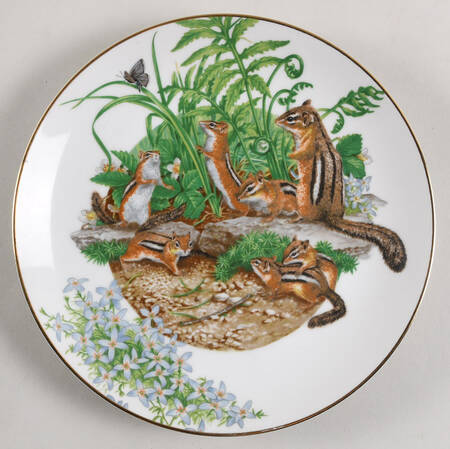Southern Forest Families Chipmunk - Boxed
