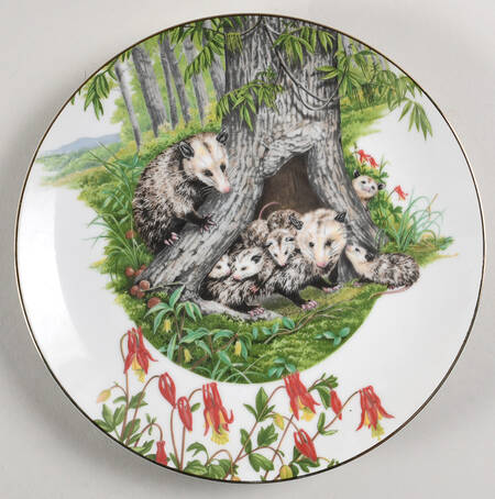 Southern Forest Families Opossum - Boxed
