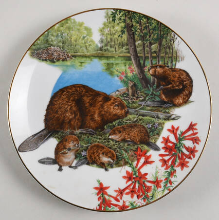Southern Forest Families Beaver - Boxed