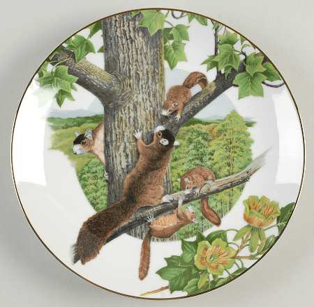 Southern Forest Families Fox Squirrel - Boxed