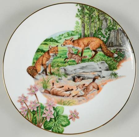 Southern Forest Families Red Fox - Boxed