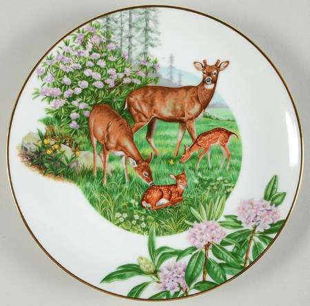 Southern Forest Families White-Tailed Deer - No Box
