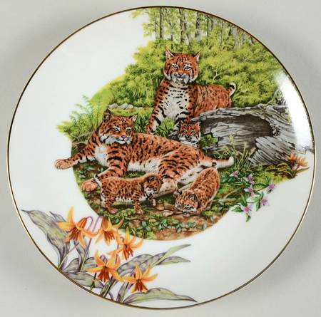 Southern Forest Families Bobcat - Boxed