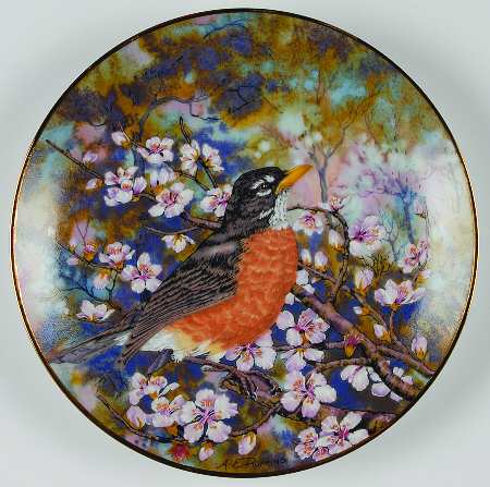 Songbirds of the South American Robin - No Box