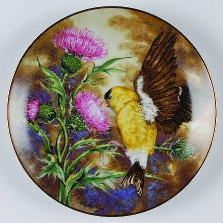 Songbirds of the South American Goldfinch - No Box