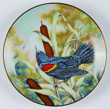 Songbirds of the South Red-Winged Blackbird - No Box