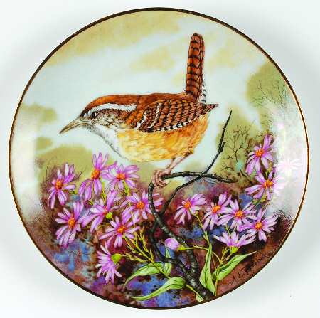 Songbirds of the South Carolina Wren - No Box