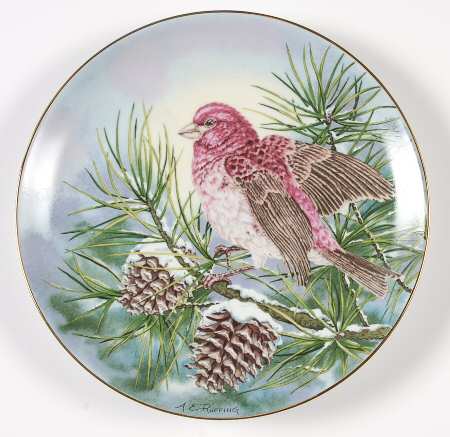 Songbirds of the South Purple Finch - No Box