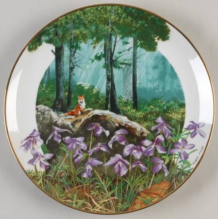 Wildflowers of The South Birdsfoot Violet - Boxed