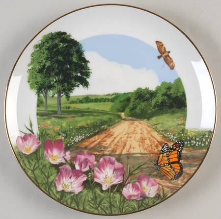 Wildflowers of The South Buttercup - Boxed