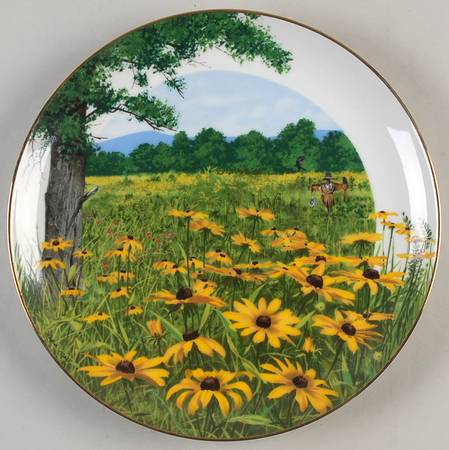 Wildflowers of The South Black-Eyed Susan - Boxed