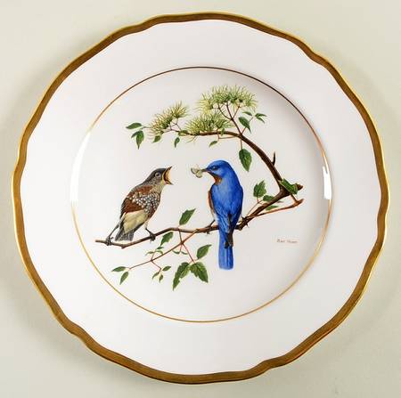 American Songbird Series Eastern Bluebird - No Box