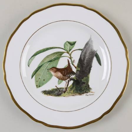 American Songbird Series Winter Wren - No Box