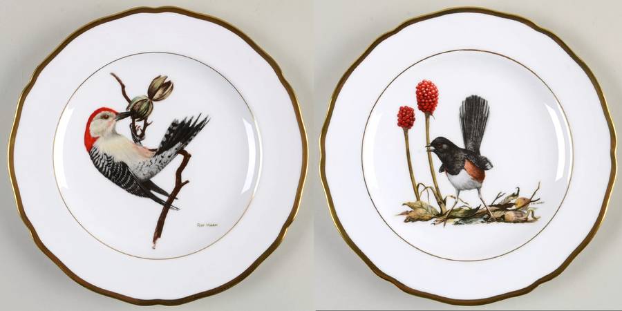 American Songbird Series Rufous-Sided Towhee & Red-Bellied Woodpe - With Box