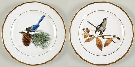 American Songbird Series Eastern Mockingbird & Steller's Jay - Boxed
