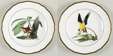 American Songbird Series Winter Wren & American Goldfinch - Boxed