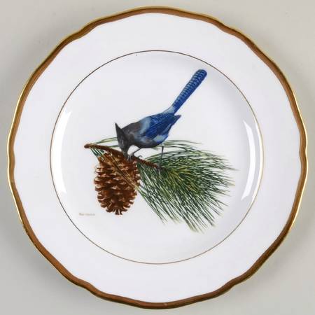 American Songbird Series Steller's Jay - No Box