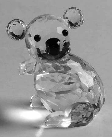 Endangered Species Koala-Facing Left-Var2 - Boxed
