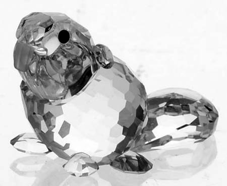Endangered Species Beaver-Baby-Sitting - With Box