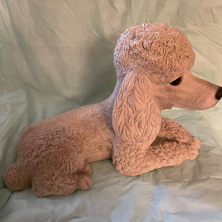 Dogs White Poodle-Lying Down - Boxed