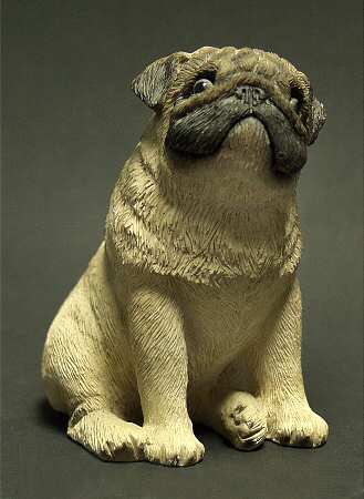 Dogs Pug - Boxed
