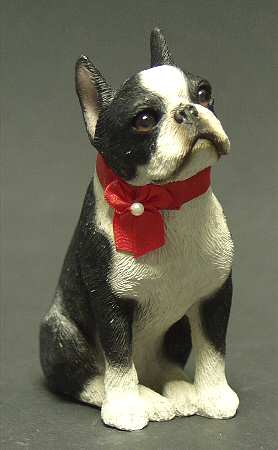 Dogs Boston Terrier-Small - Boxed
