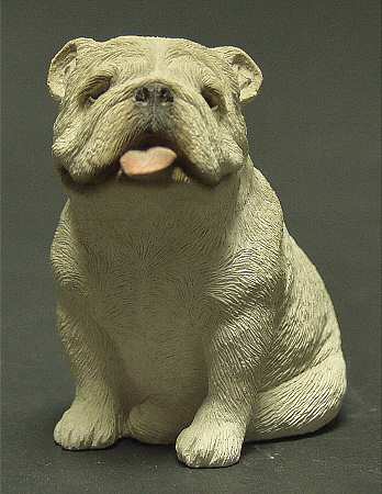 Dogs Bulldog-White-Small - Boxed
