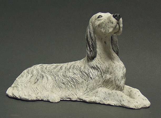 Dogs English Setter - Boxed