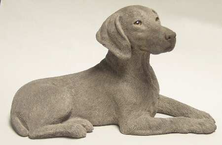Dogs Weimaraner - Boxed