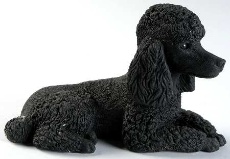 Dogs Black Poodle - Boxed
