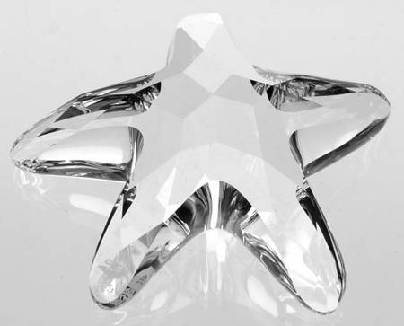 Society Member Renewal Gifts 2005-Member Starfish - Boxed