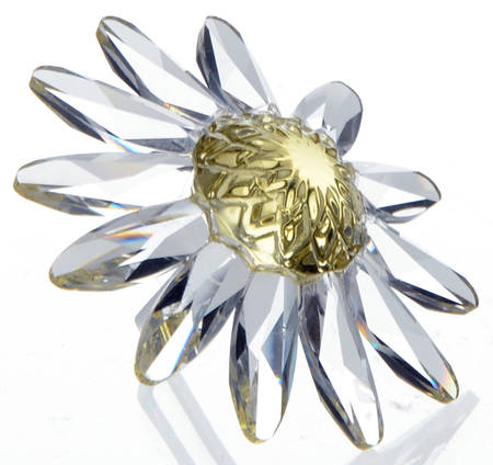 Society Member Renewal Gifts 1999-Yellow Marguerite - Boxed