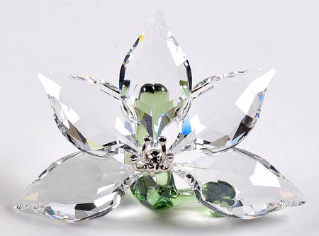 Society Member Renewal Gifts 2013-Orchid - Boxed