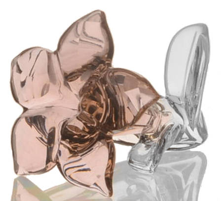 Society Member Renewal Gifts 2021-Desert Rose - Boxed