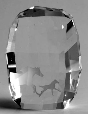 Society Member Renewal Gifts 2014-Horse Paperweight - No Box