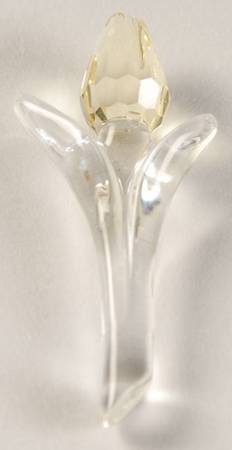 Society Member Renewal Gifts Yellow-Mini Tulip - No Box