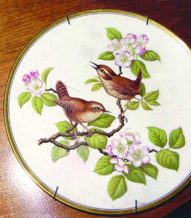 Garden Birds Wren - Boxed