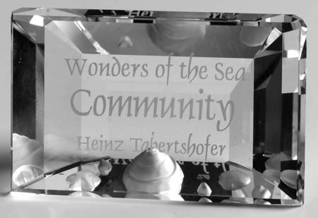 Wonders of the Sea Trilogy - SCS Community Display Plaque - Boxed